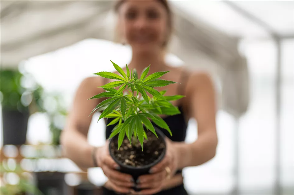Grow-Sortiment - Floragard ... und alles blht auf!