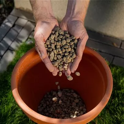 Bio Pflanzgranulat Bio Pflanzgranulat