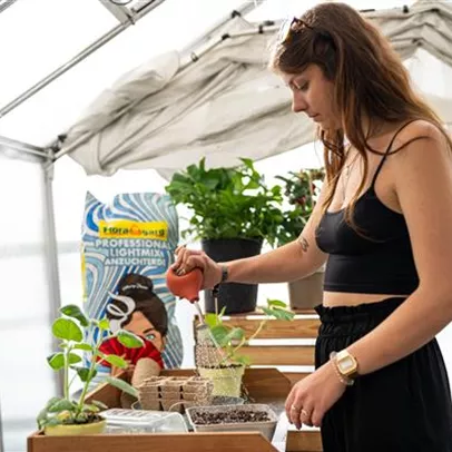 Tipps zur Pflanzenanzucht Tipps zur Pflanzenanzucht