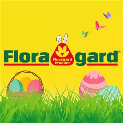 Ostergruß Ostergruß