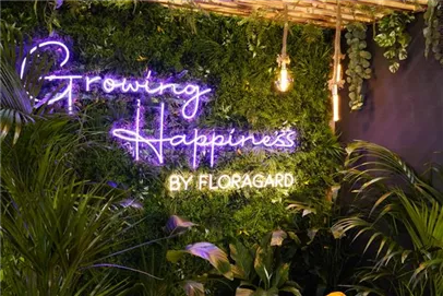 Meine erste IPM Meine erste IPM