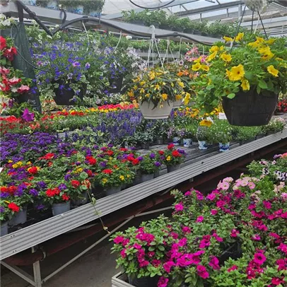 Ausflug mit dem Außendienst Ausflug mit dem Außendienst