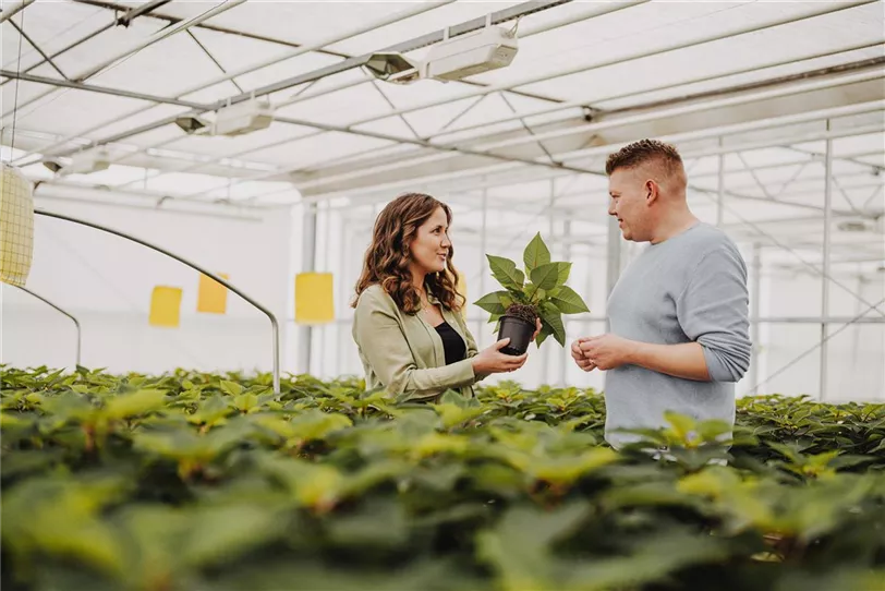 Außendienstmitarbeiter (m/w/d) für den Bereich Niedersachsen / Bremen / PLZ 48/49