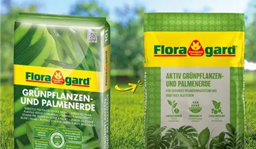 Floragard