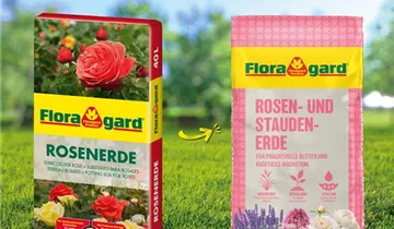Floragard
