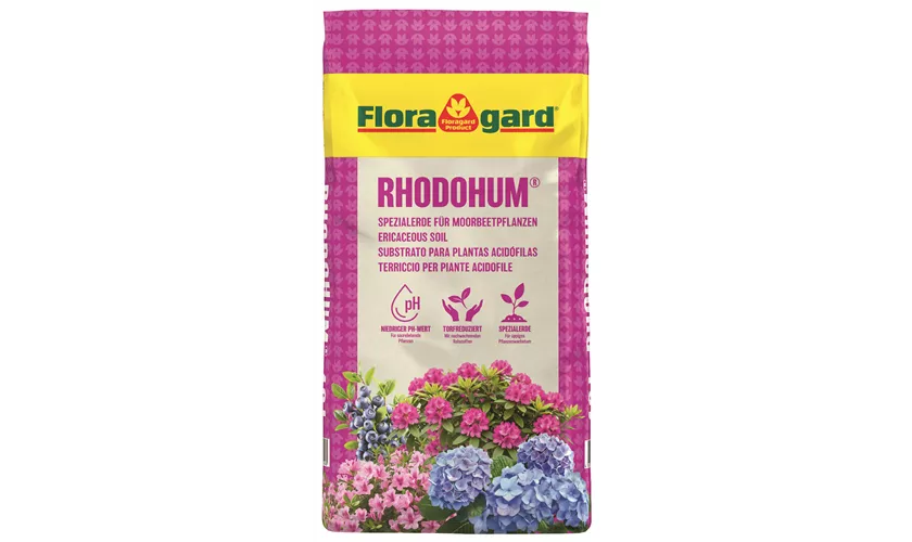 Spezialerde Pflanzung von Moorbeetpflanzen