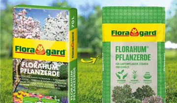 Floragard