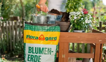 Floragard