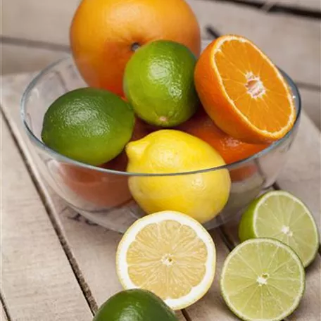 Citrus reshni