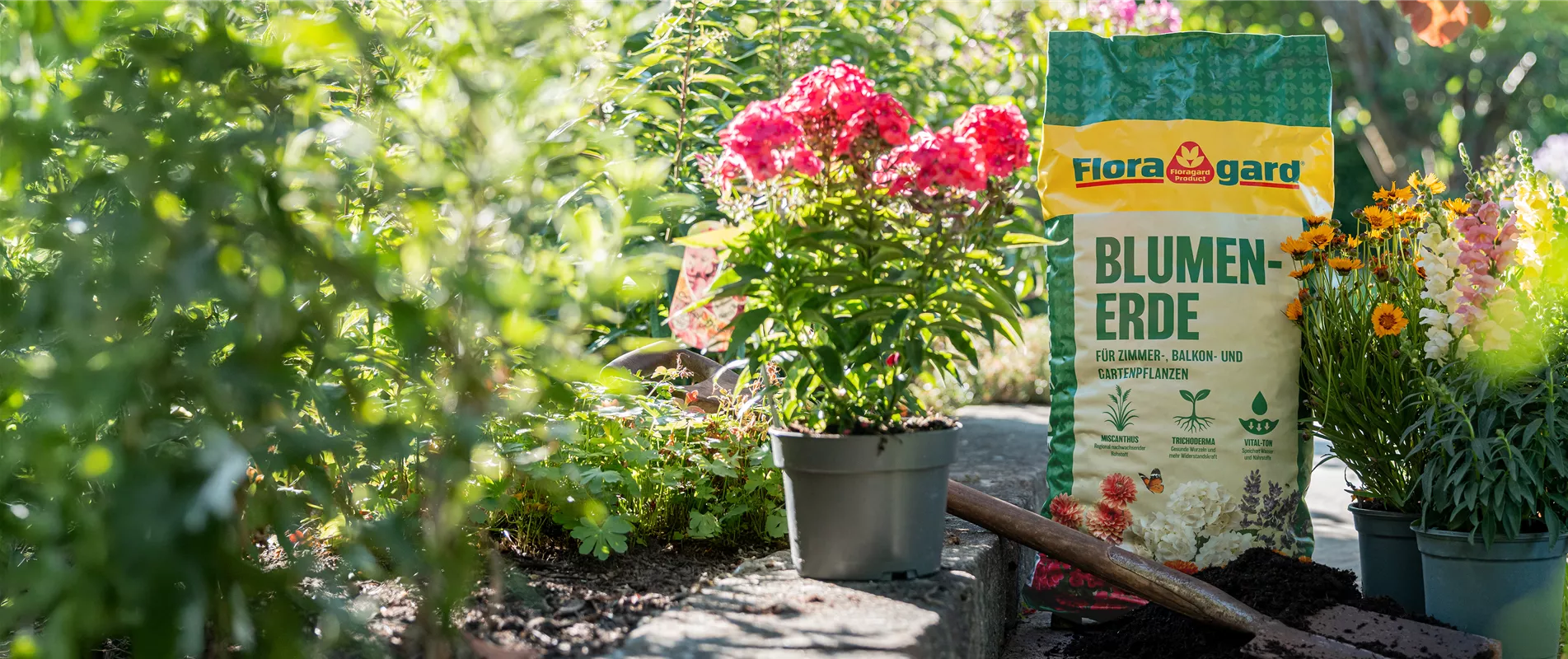 ...hier geht's zum Shop!