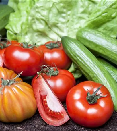 Von Artischocke bis Zucchini: alles für den Bauerngarten