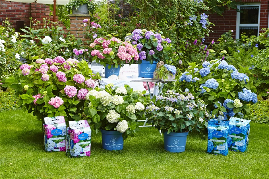 npk dünger 50 kg Fepro® NPK Dünger im 25kg Sack – Panorama24 Onlineshop main image 0