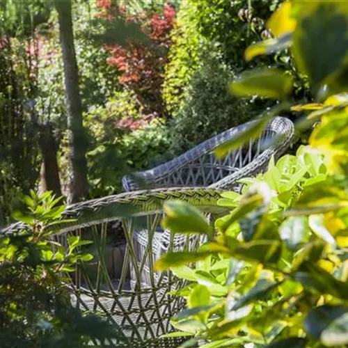 Die grüne Oase: die Terrasse in einen Garten verwandeln